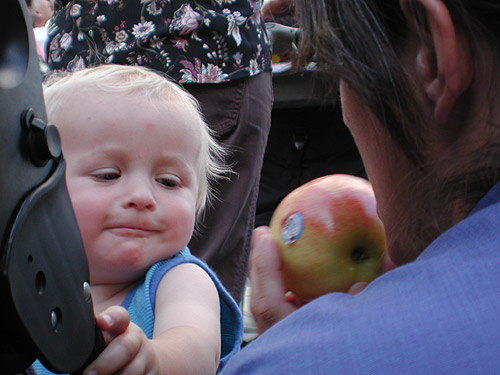 why is that human about to take a bite out of my apple?